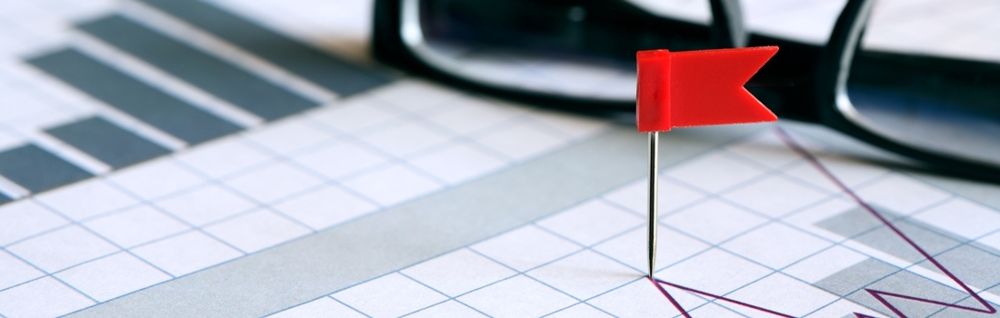 KING OF THE JUNGLE OR DONKEY? 6 RED FLAGS OF A POOR PPC MANAGER KING OF THE JUNGLE OR DONKEY? 6 RED FLAGS OF A POOR PPC MANAGER